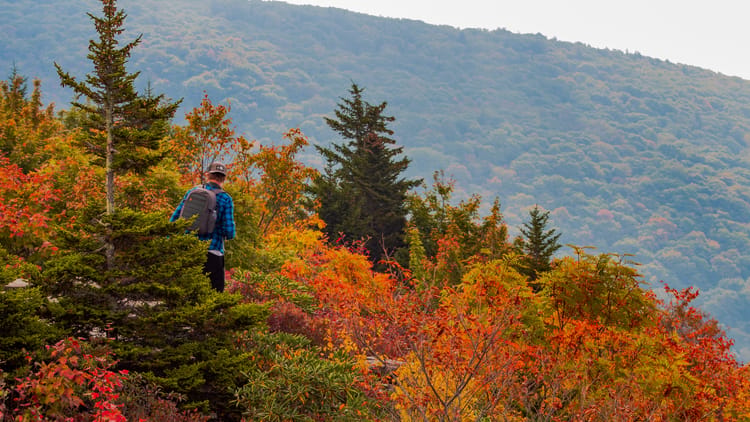 scenic-mountain-view-with-a-solitary-hiker-2026